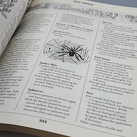 Old Time Country Wisdom & Lore Traditional Skills for Simple Living PB - Picture 13 of 16